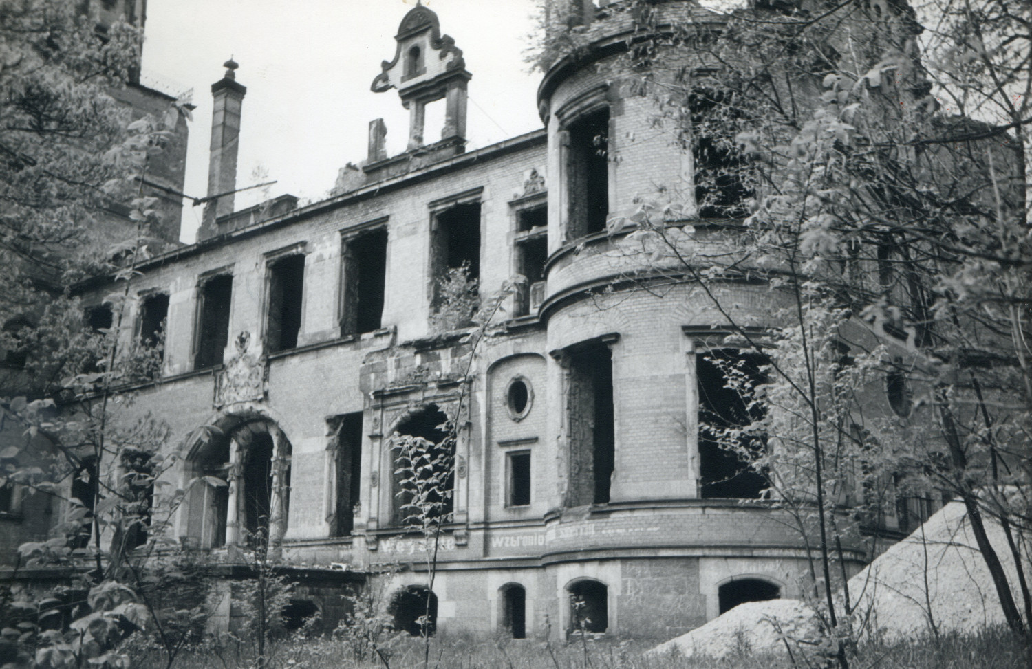Ruiny pałacu w Reptach Śląskich w czasach powojennych. Ze zbiorów WKZ, dzięki uprzejmości Z. Banasia